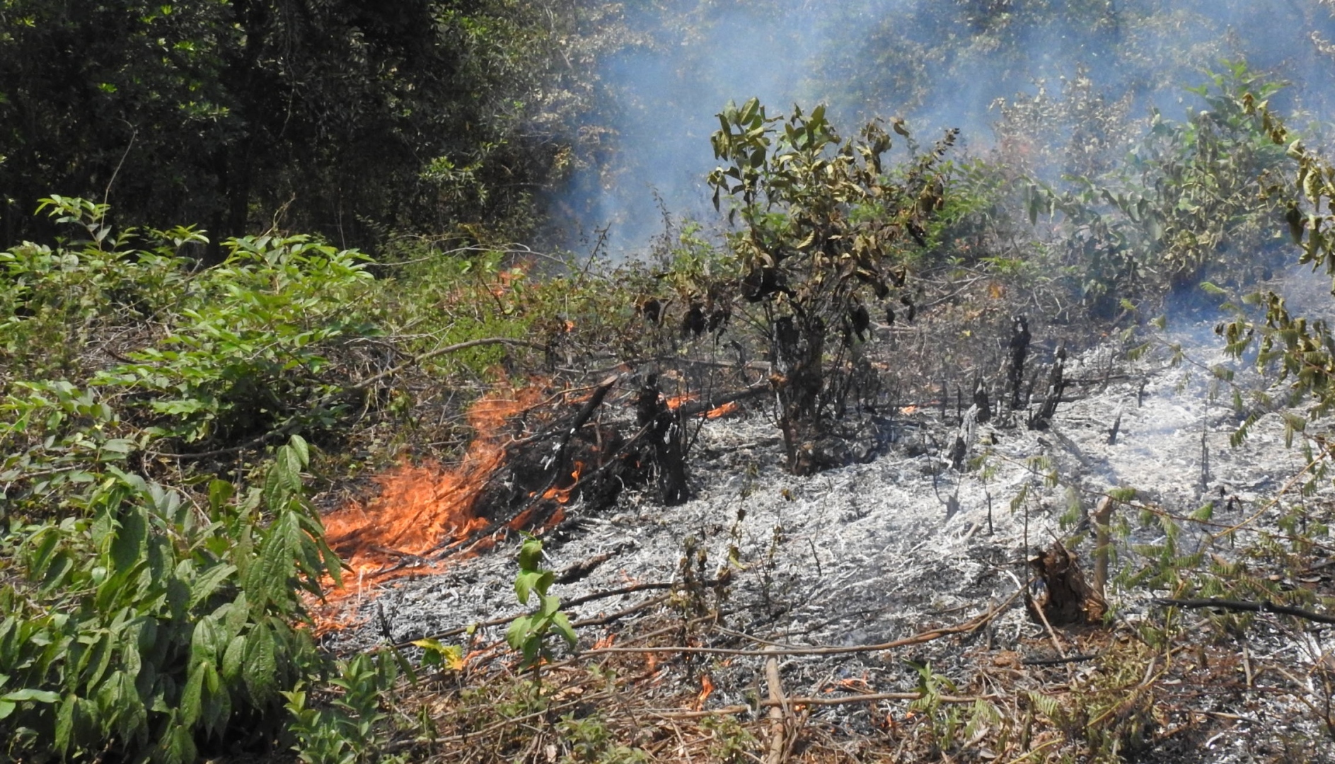 Fires in Margao, Fatorda brought under control