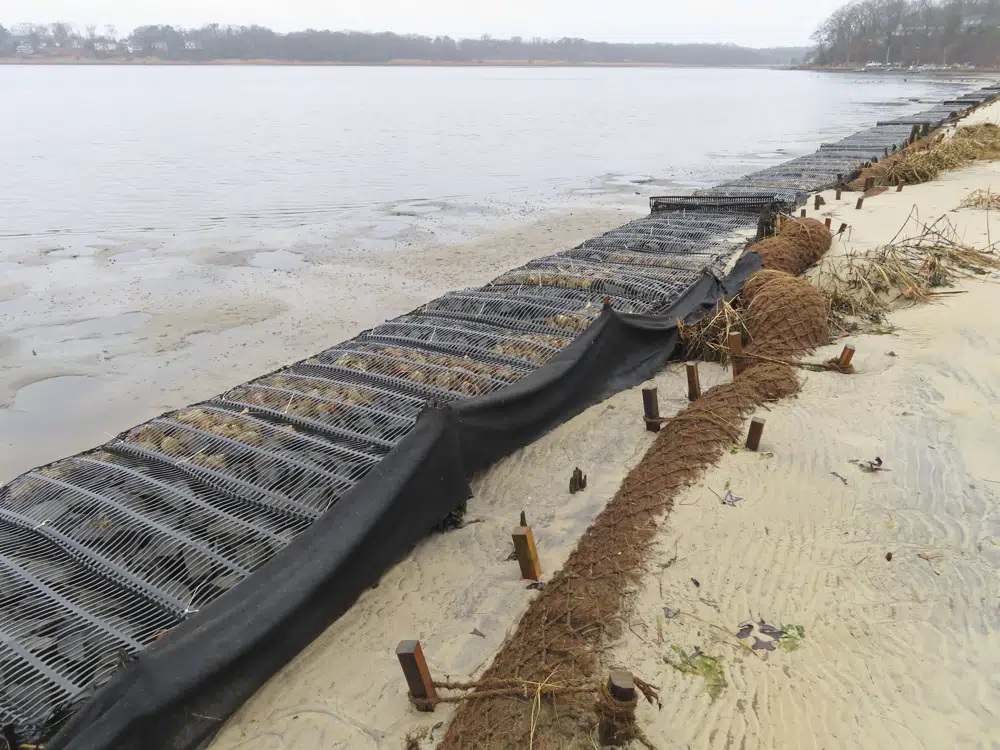 ﻿How coconuts protect Jersey Shore, other eroding coasts in USA