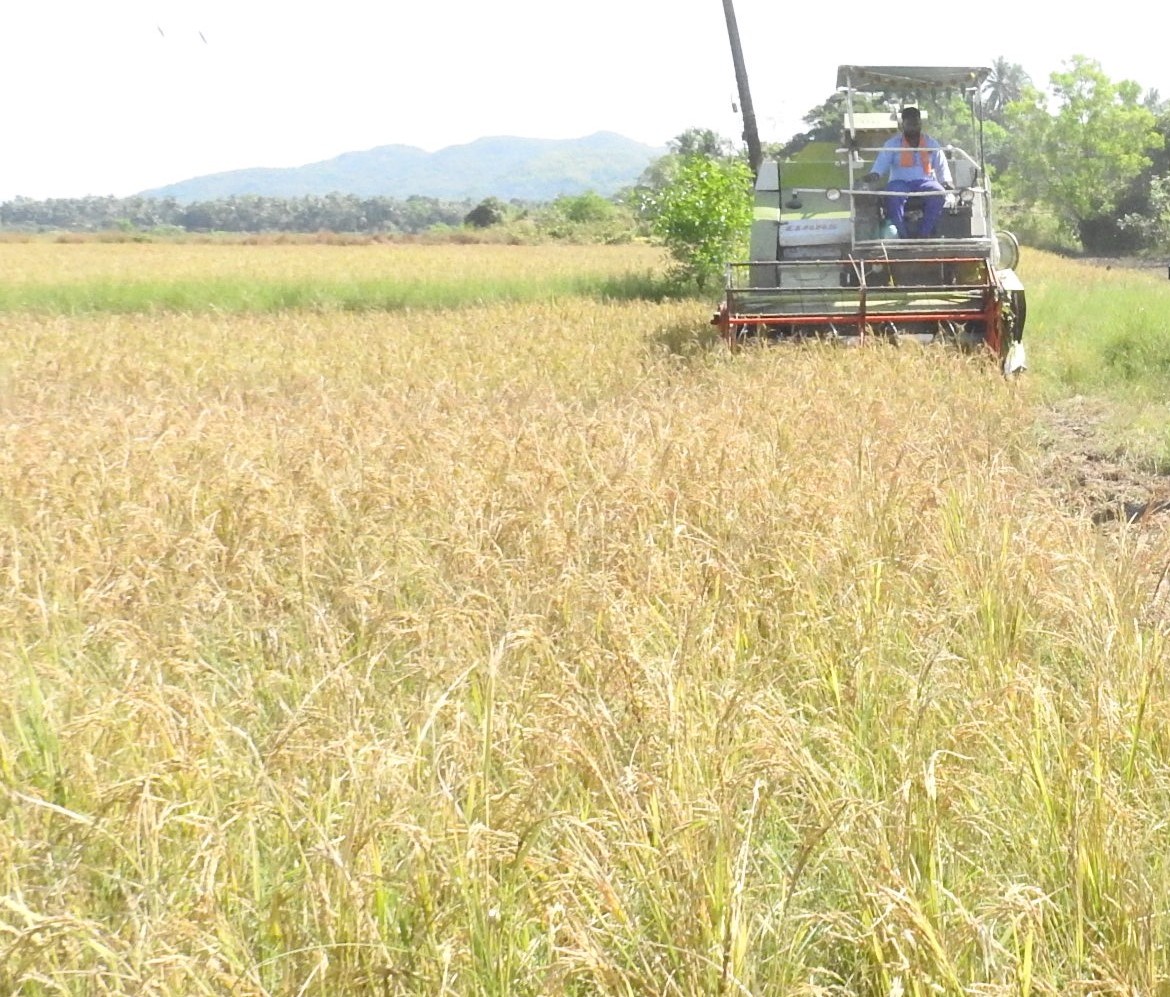 Ambitious project to revive fallow fields   at Patto to be launched on Monday