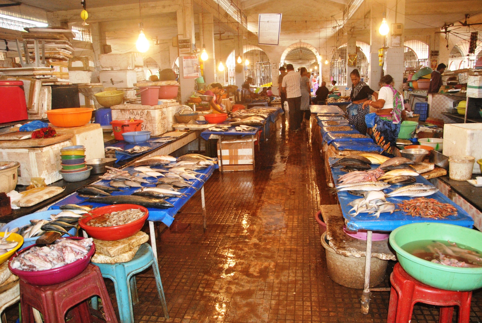 Facelift for mega retail fish   market could be a reality