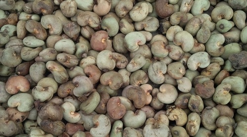 Imported cashew nuts, a tough nut to crack for stakeholders