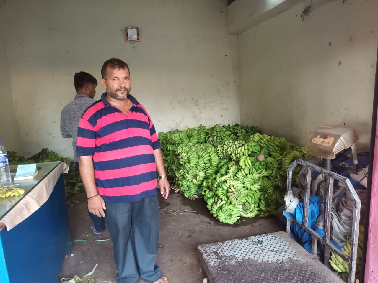 800 kgs of chemically ripened bananas seized in Mapusa