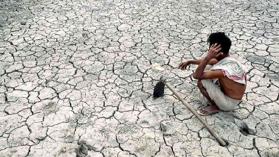 ﻿Socio-economic impacts of heatwaves