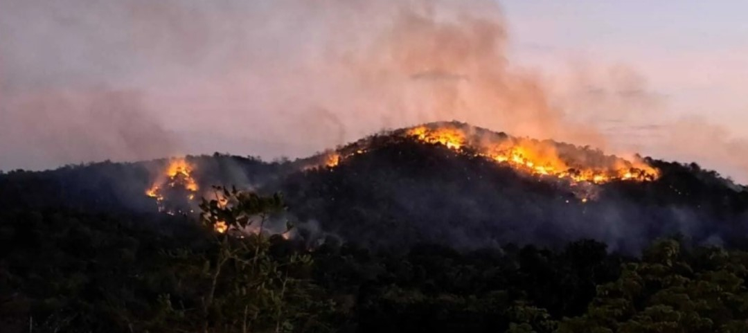 ﻿Fire engulfs hillock near Chapoli dam