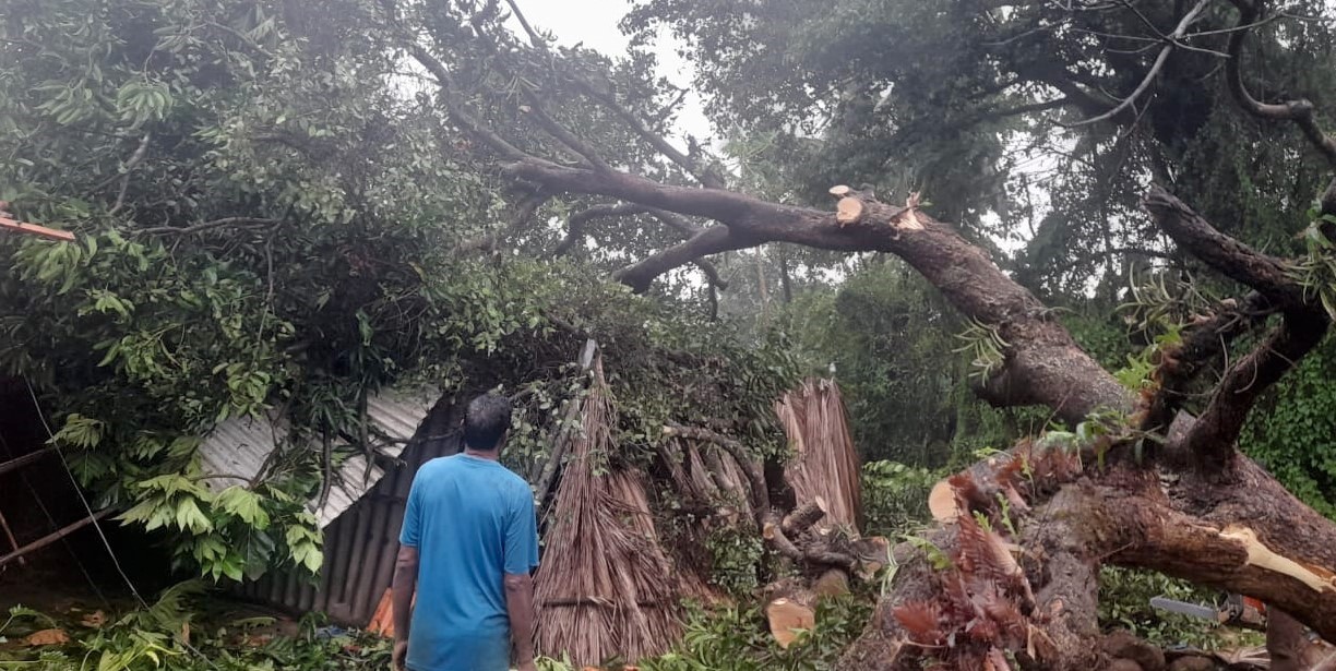 PRE-MONSOON RAIN WREAKS HAVOC