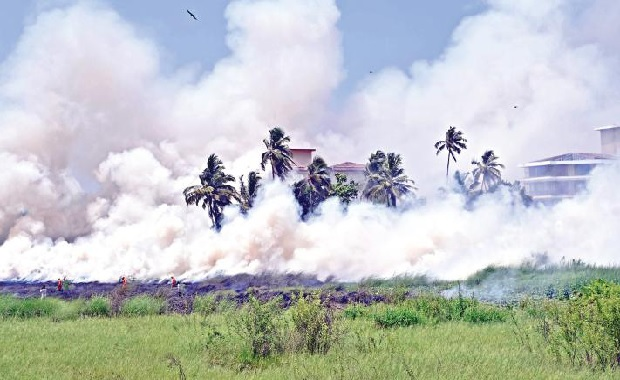 Field fire sparks emergency  in Taleigao, 30 evacuated