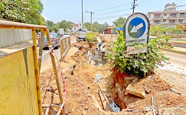 DIGGING DISRUPTION