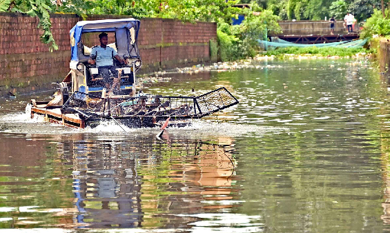 PENALISE GARBAGE DUMPERS